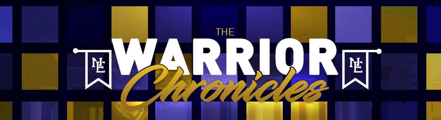 The Warrior Chronicles